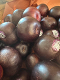 Black Plum
