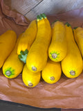 Sunmer squash - yellow