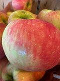 Apple - Honeycrisp