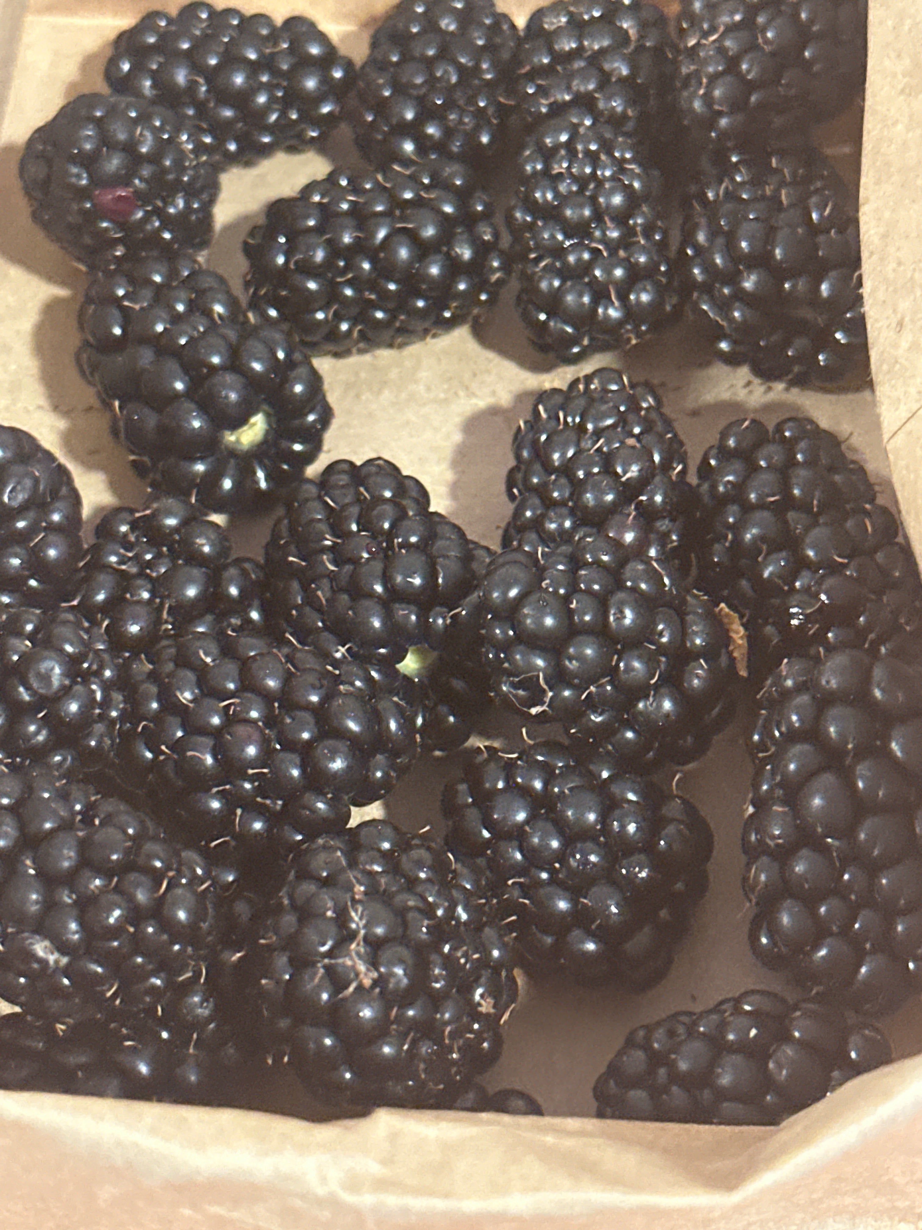 Blackberries - organic
