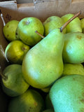 Pear - Sunrise
