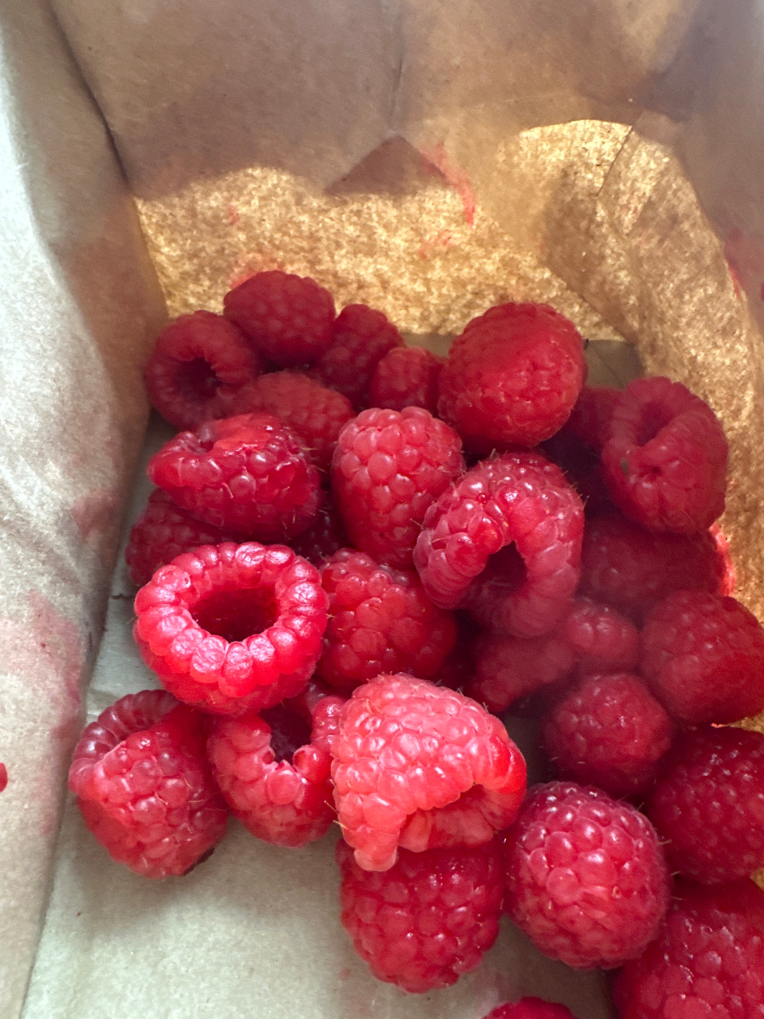 Raspberries - organic