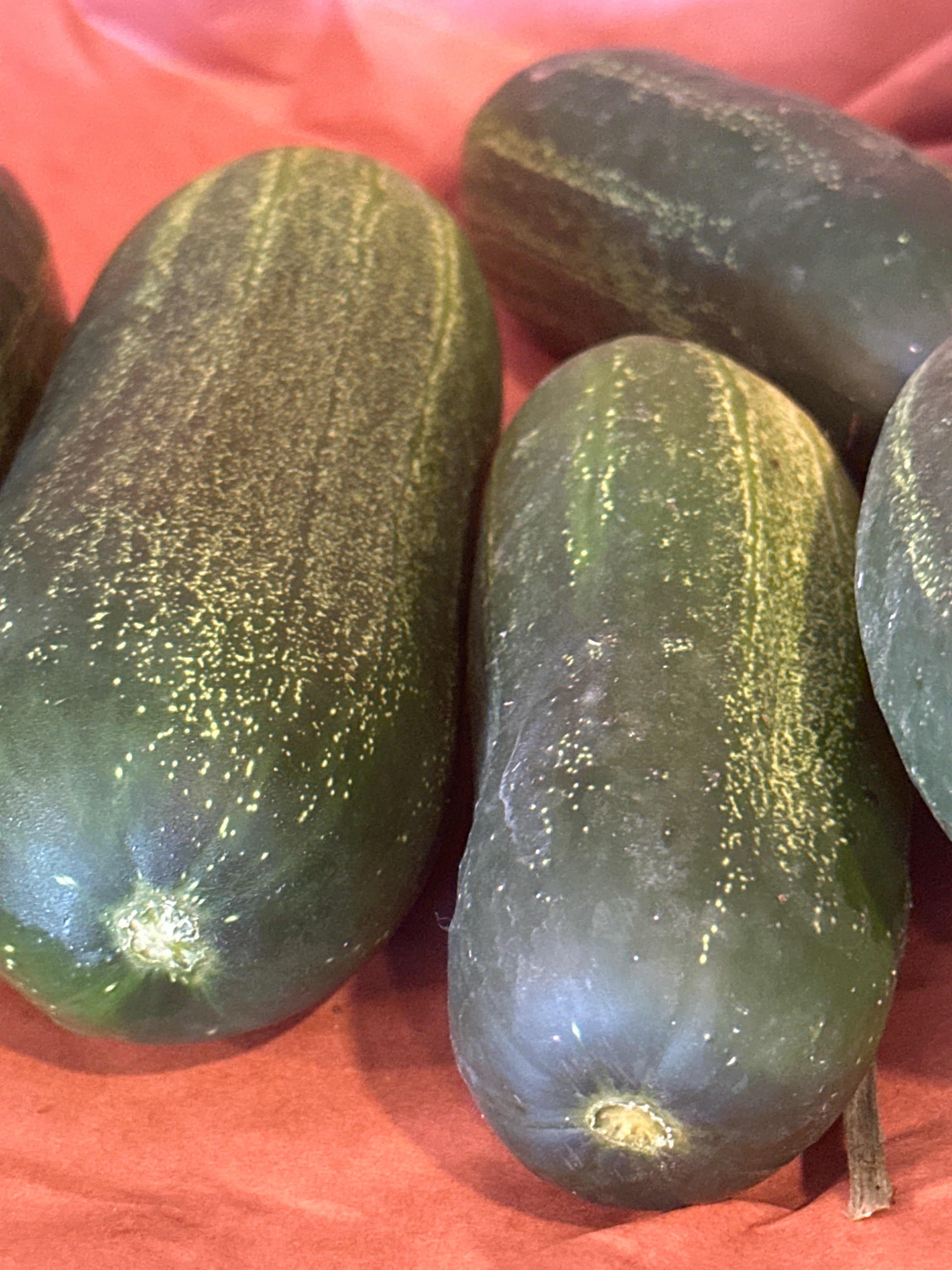 Cucumber - Kirby