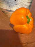 Pepper orange - organic