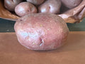 Potato -red
