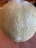 Melon - Cantelope