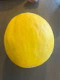 Melon -Goldendew