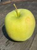 Apple - Ginger Gold