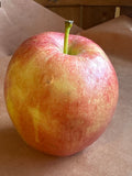 Apple - gala