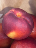 Nectarines