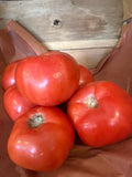 Tomato - red slicer