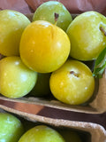 Plum - Local Shiso