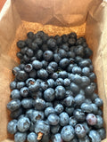 Blueberries - organic