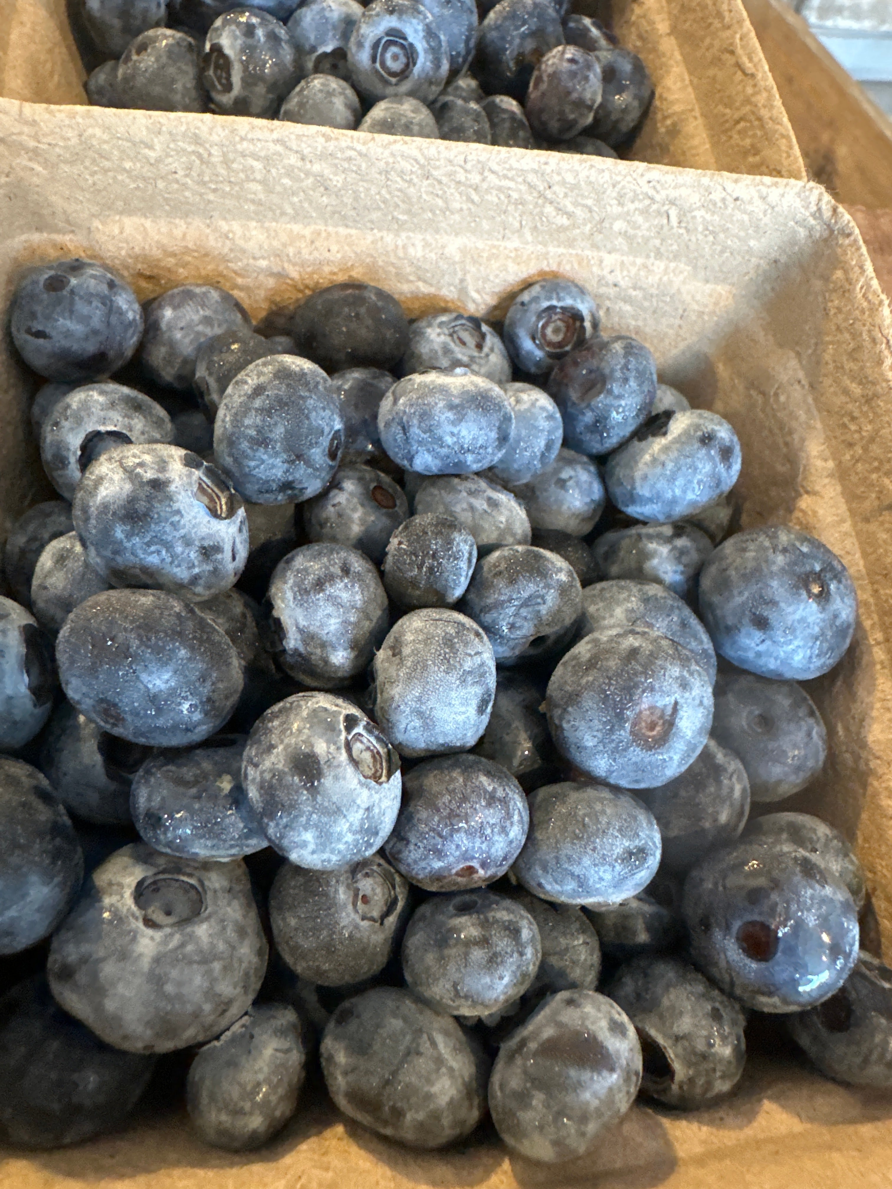 Blueberries