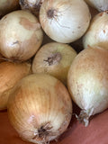 Onion - Small yellow
