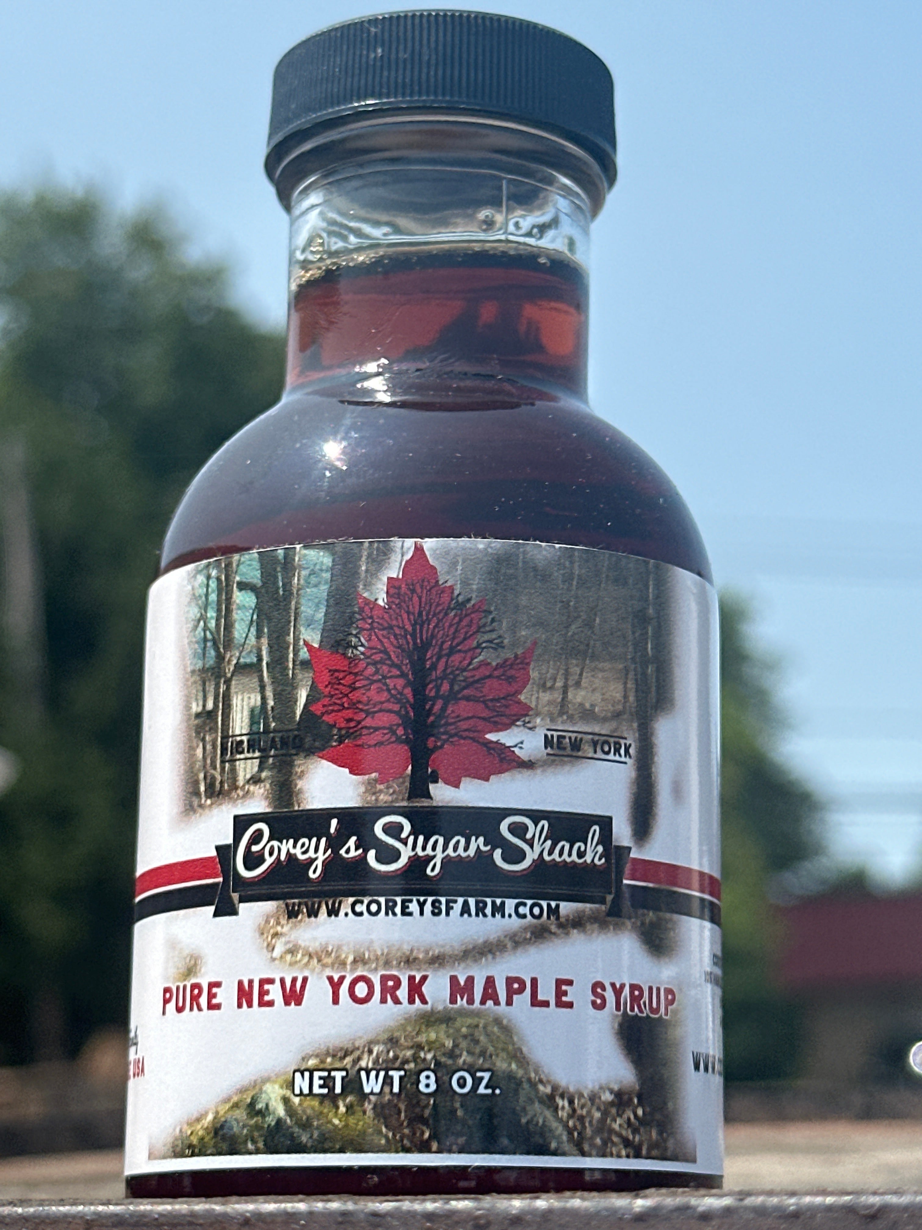 Maple Syrup