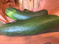 Cucumber - Large