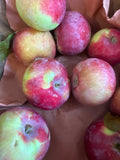 Apple -August Mac