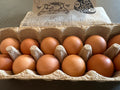 Eggs - pastured