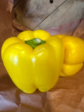 Pepper yellow- organic