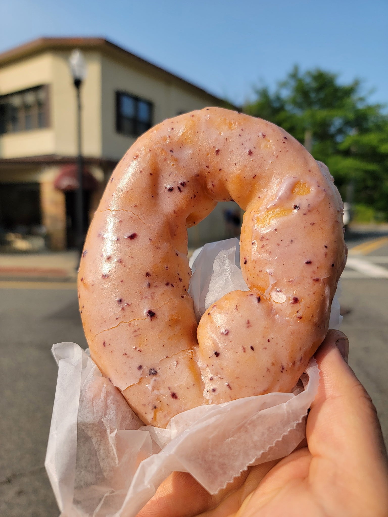 Donut