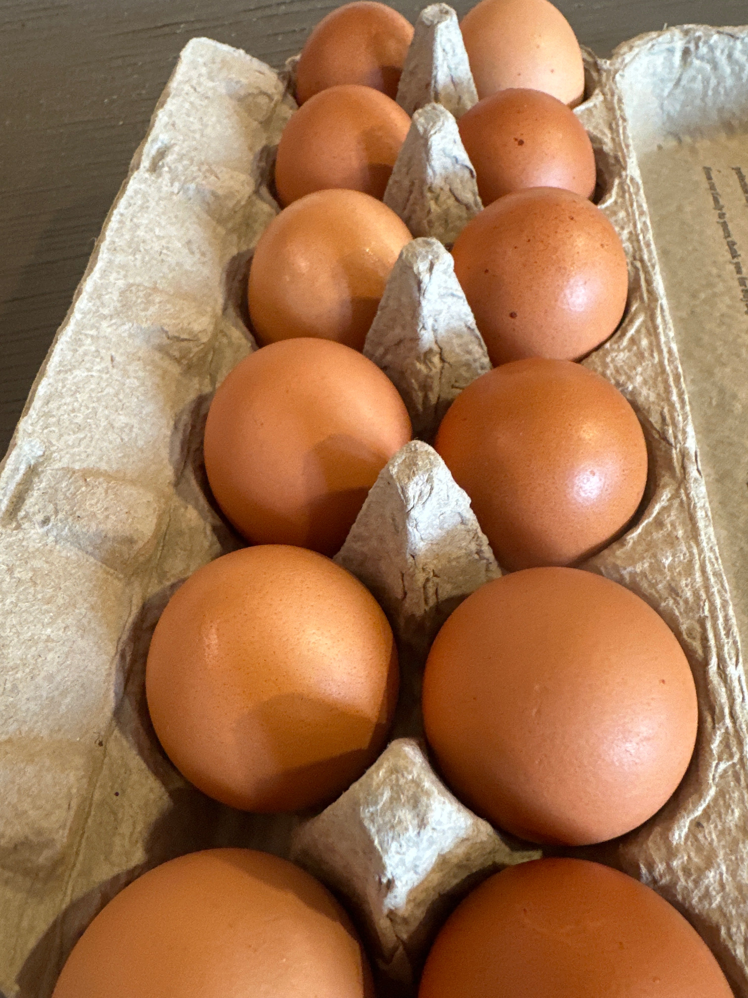 Eggs - dozen