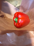 Pepper red - organic