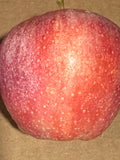 Apple - Gala